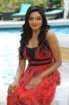Vimala Raman Hot Photos